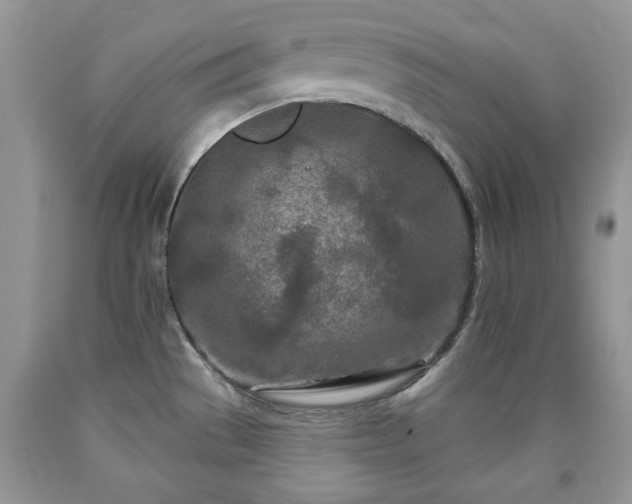 X0000090501529200707201535