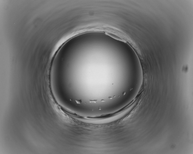 X0000090501530200707201535