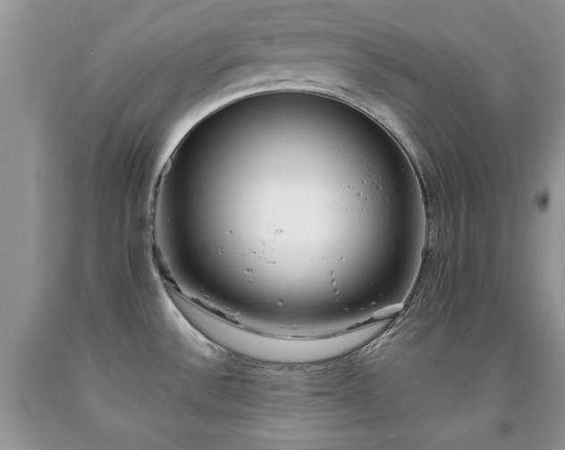 X0000090501532200707201535