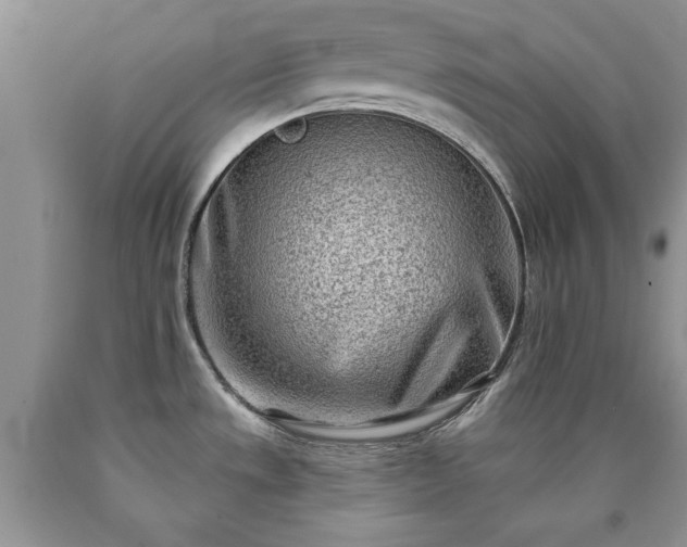 X0000090501533200707201535