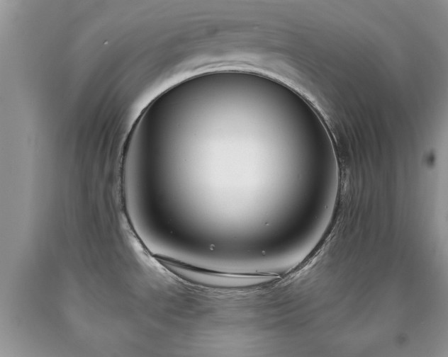 X0000090501534200707201535