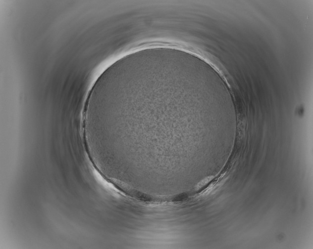 X0000090501535200707201535
