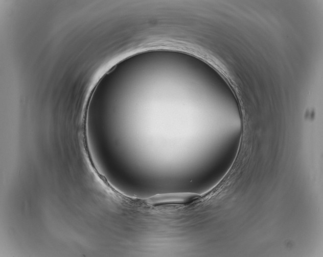 X0000090501536200707201535