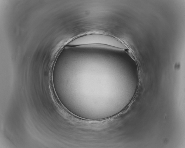 X0000090500001200707280011