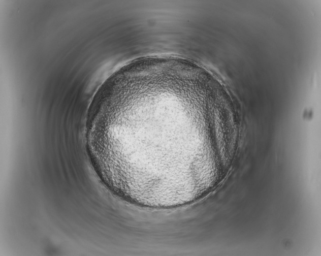 X0000090500002200707280011