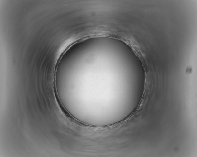 X0000090500003200707280011