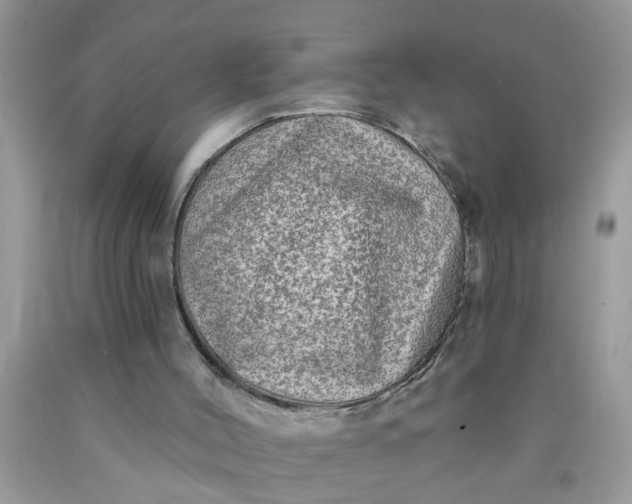 X0000090500004200707280011