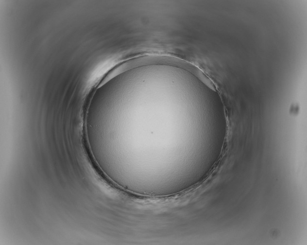 X0000090500005200707280011