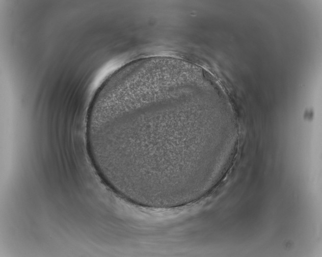 X0000090500006200707280011