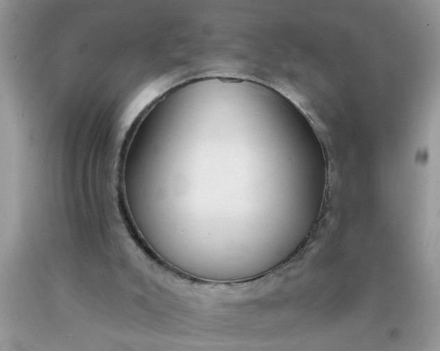 X0000090500007200707280011