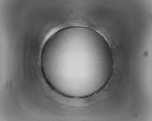 X0000090500008200707280011