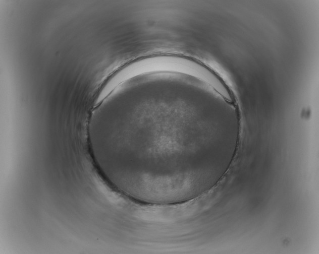 X0000090500009200707280011