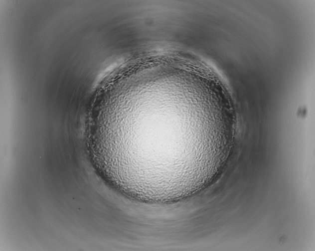 X0000090500010200707280011