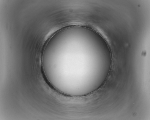 X0000090500011200707280011