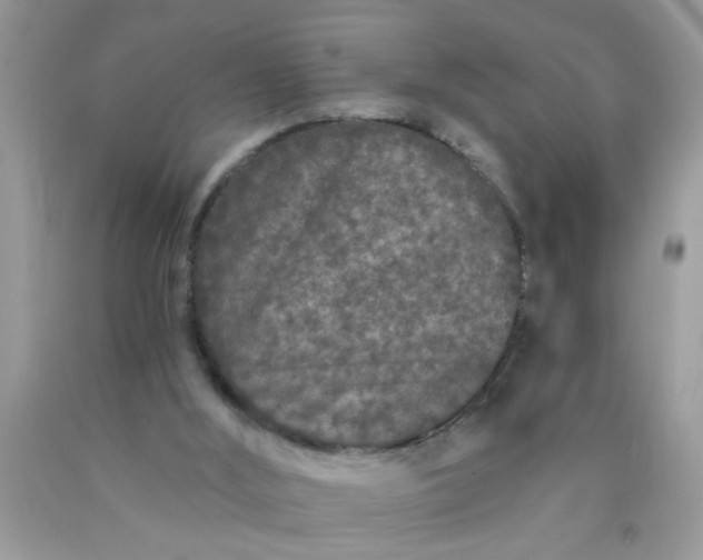 X0000090500012200707280011