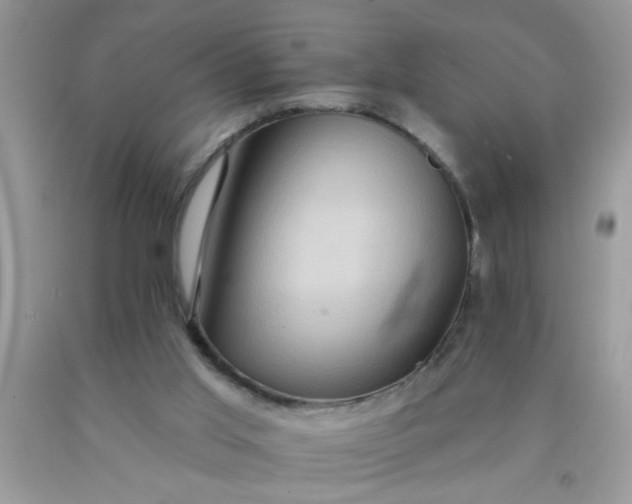 X0000090500013200707280011