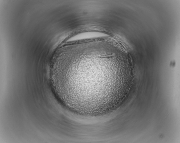 X0000090500014200707280010