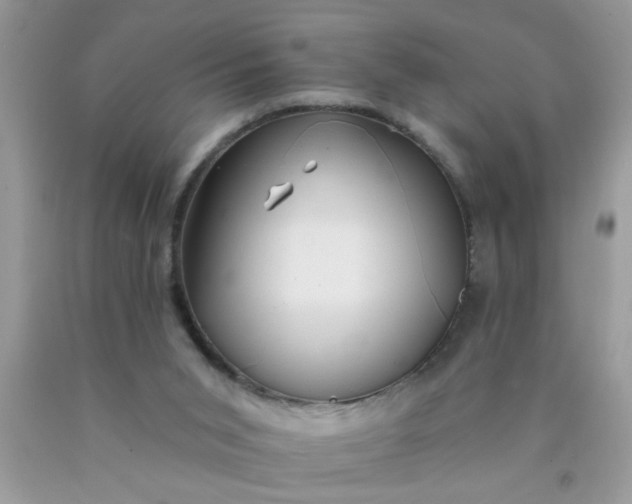 X0000090500015200707280010