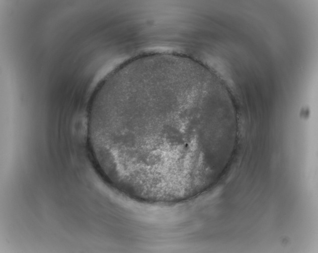 X0000090500016200707280010