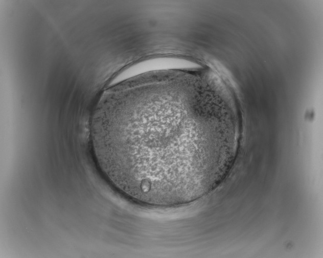 X0000090500017200707280010