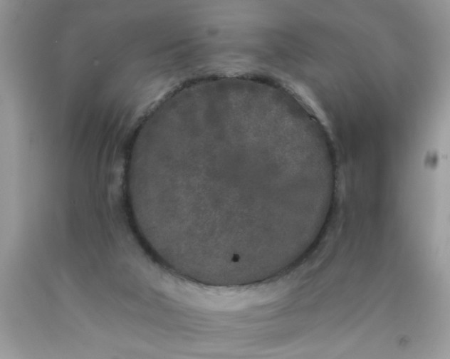 X0000090500018200707280010