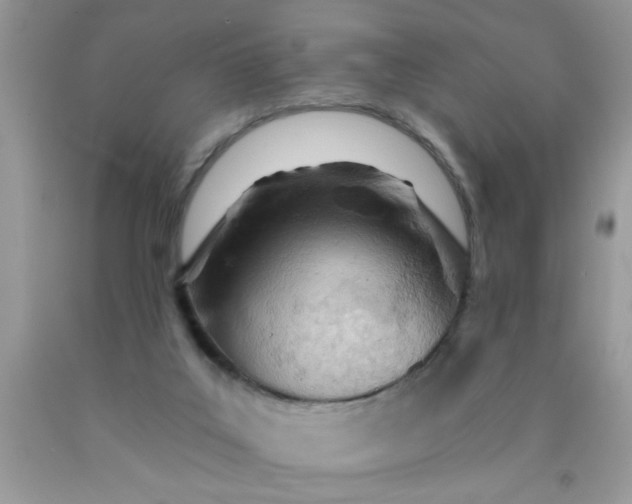 X0000090500019200707280010