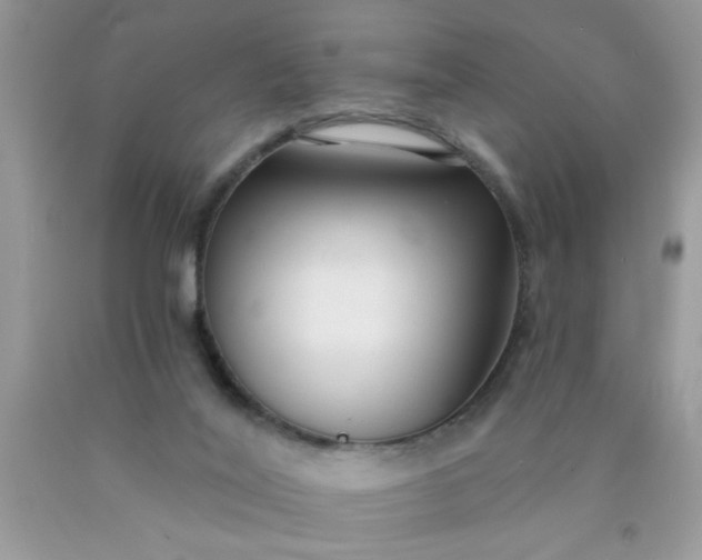 X0000090500020200707280010