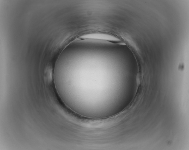 X0000090500021200707280010