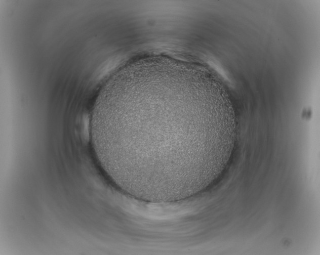 X0000090500022200707280010