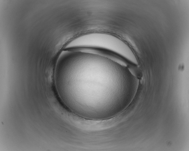 X0000090500023200707280010