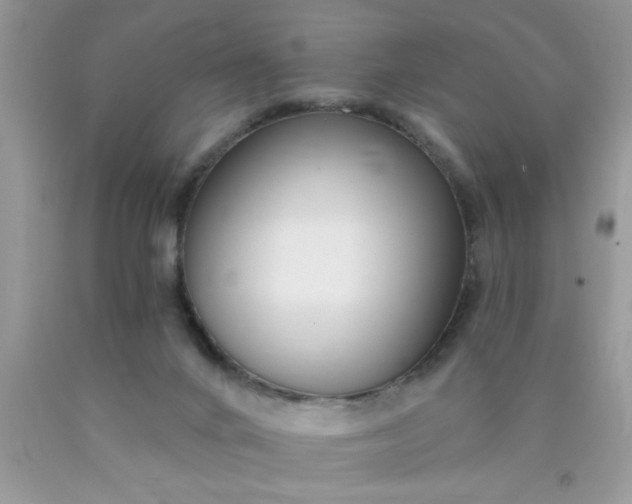 X0000090500024200707280010