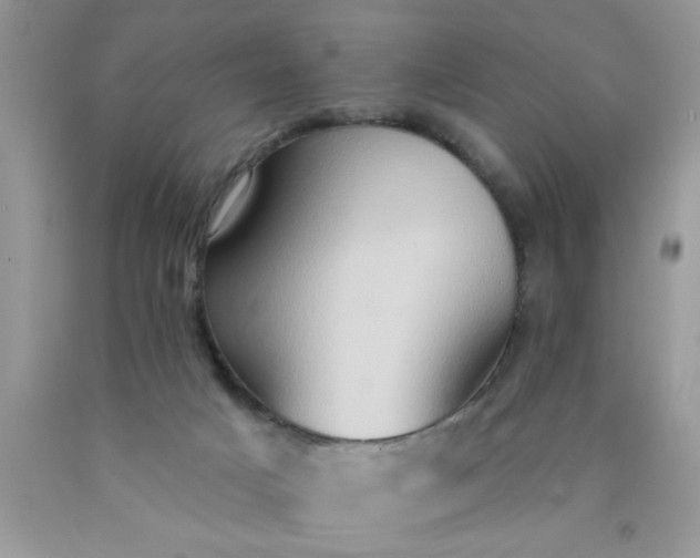 X0000090500025200707280010