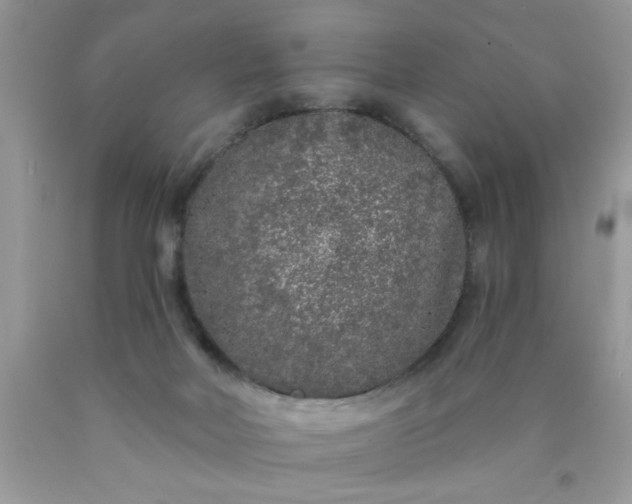 X0000090500026200707280010