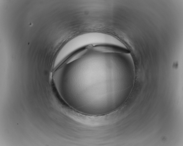 X0000090500027200707280010