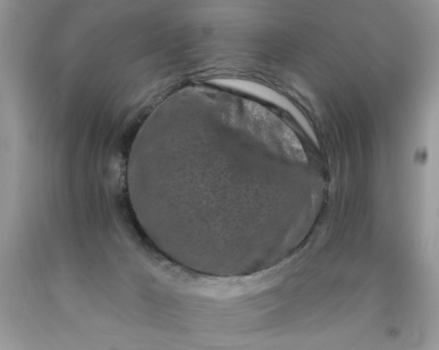 X0000090500029200707280010