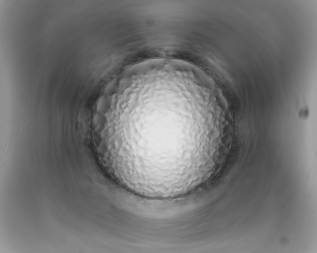 X0000090500030200707280010