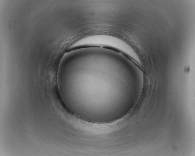 X0000090500031200707280010