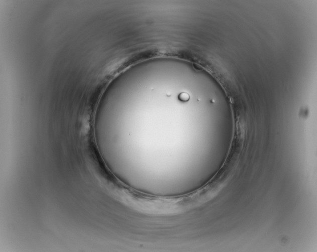 X0000090500032200707280010