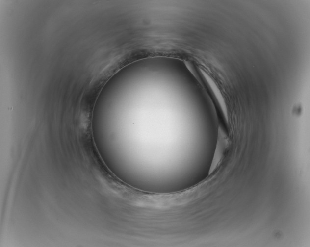 X0000090500033200707280010