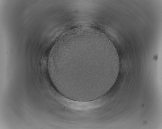 X0000090500034200707280010