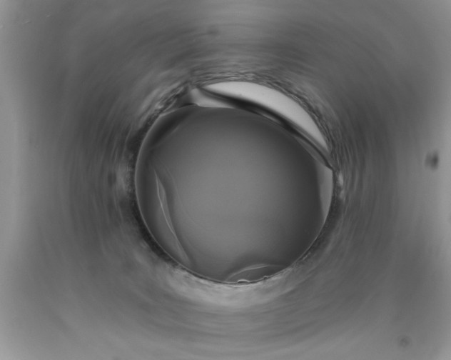 X0000090500035200707280010