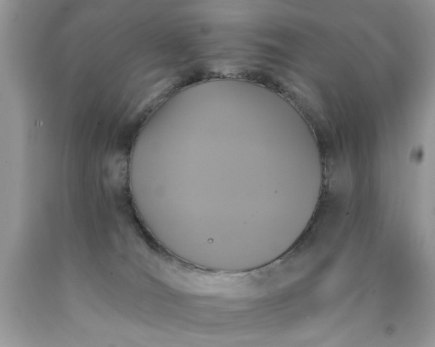 X0000090500036200707280010