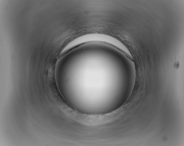 X0000090500037200707280010