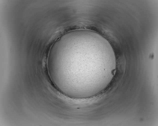 X0000090500038200707280010