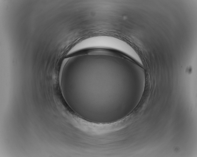 X0000090500039200707280010