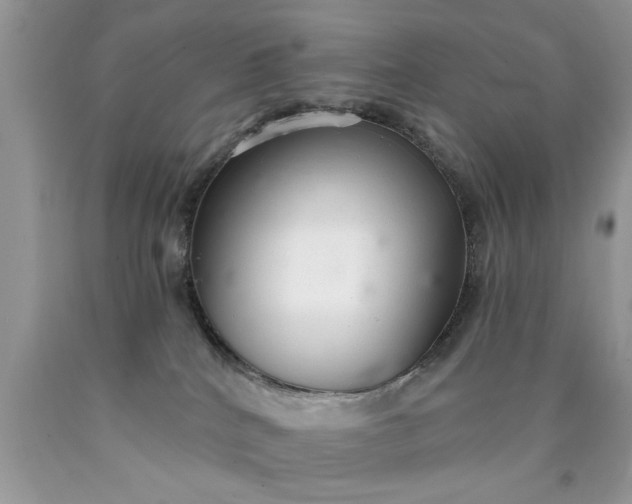 X0000090500040200707280010