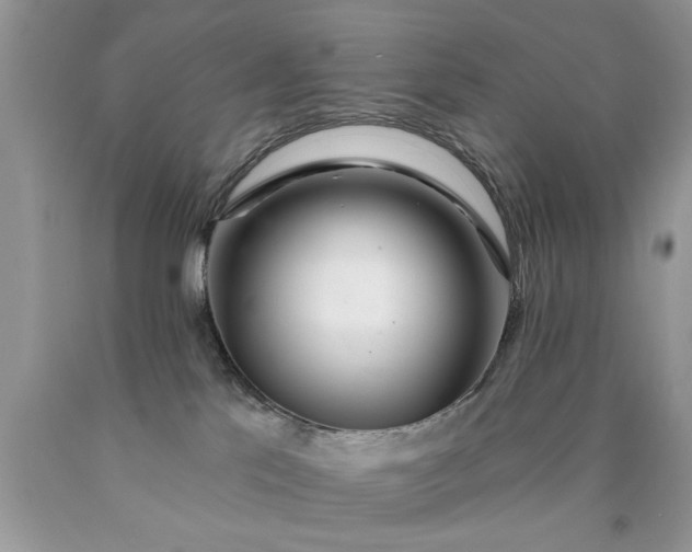 X0000090500041200707280010