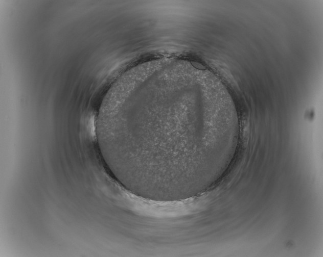 X0000090500042200707280010