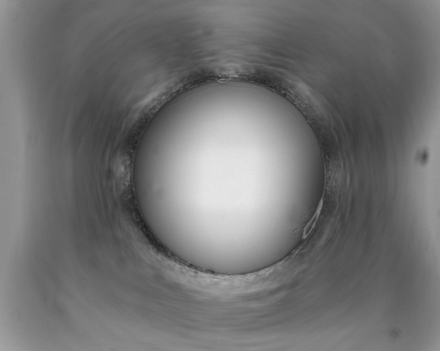 X0000090500043200707280010