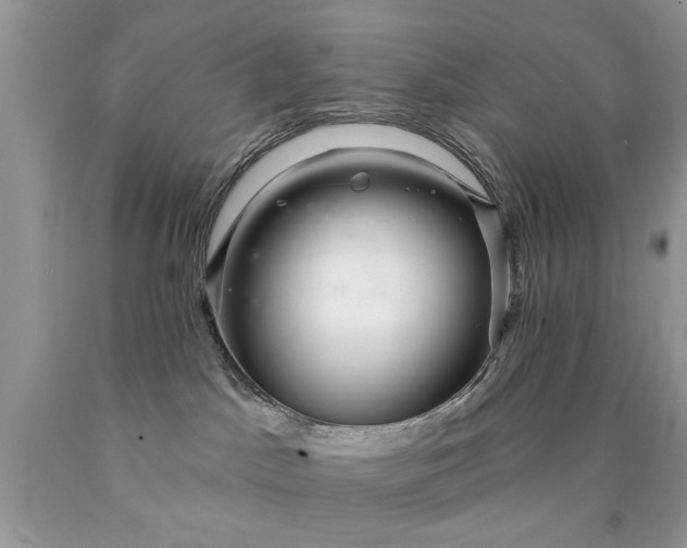 X0000090500045200707280010